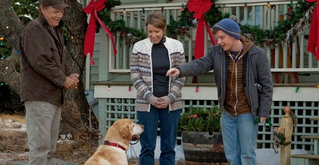 Walking the dog hallmark full movie online discount free